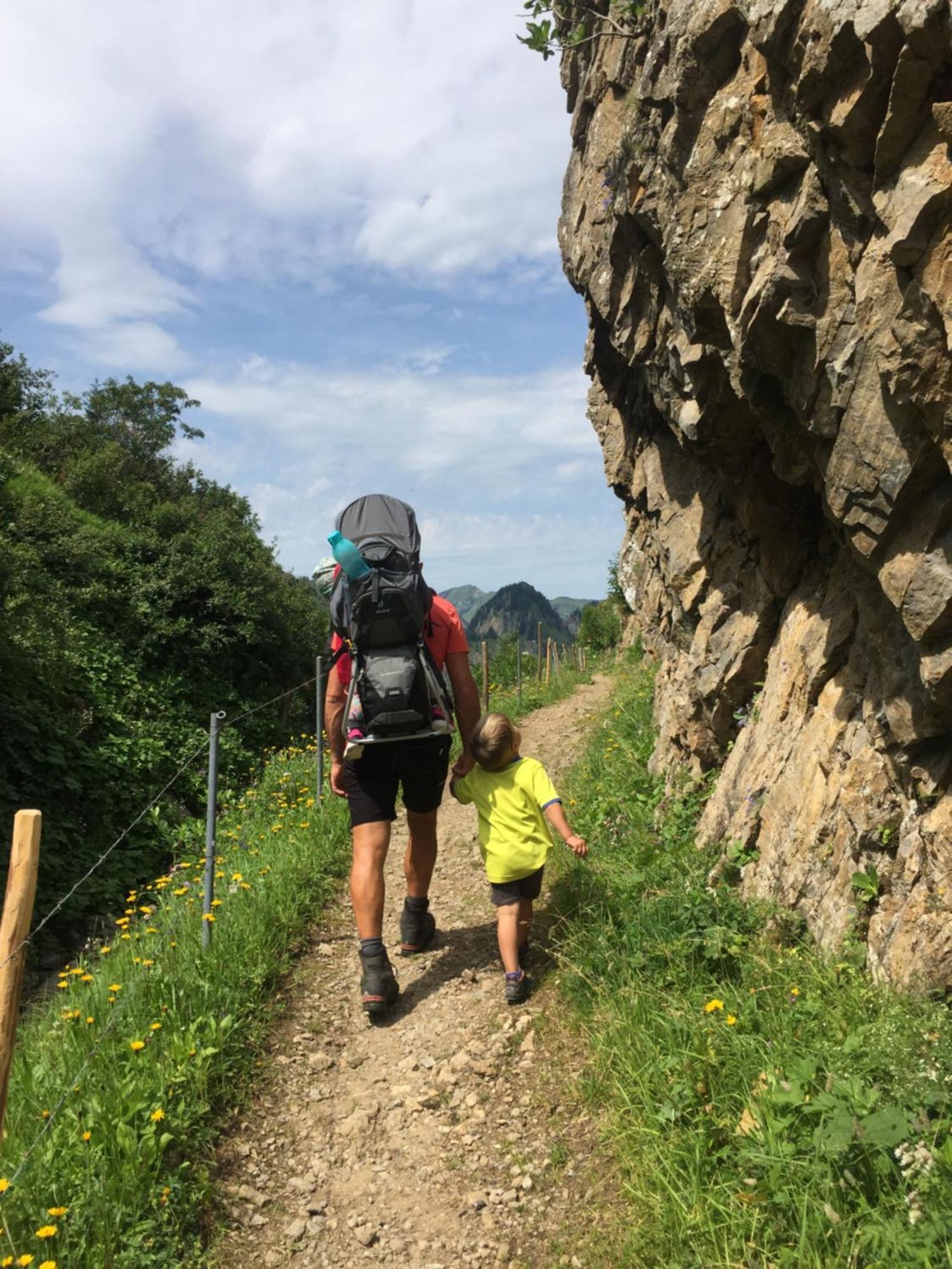Neu Auszeit985 - Auszeit Mit Ausblick Lejlighed Schwarzenberg im Bregenzerwald Eksteriør billede