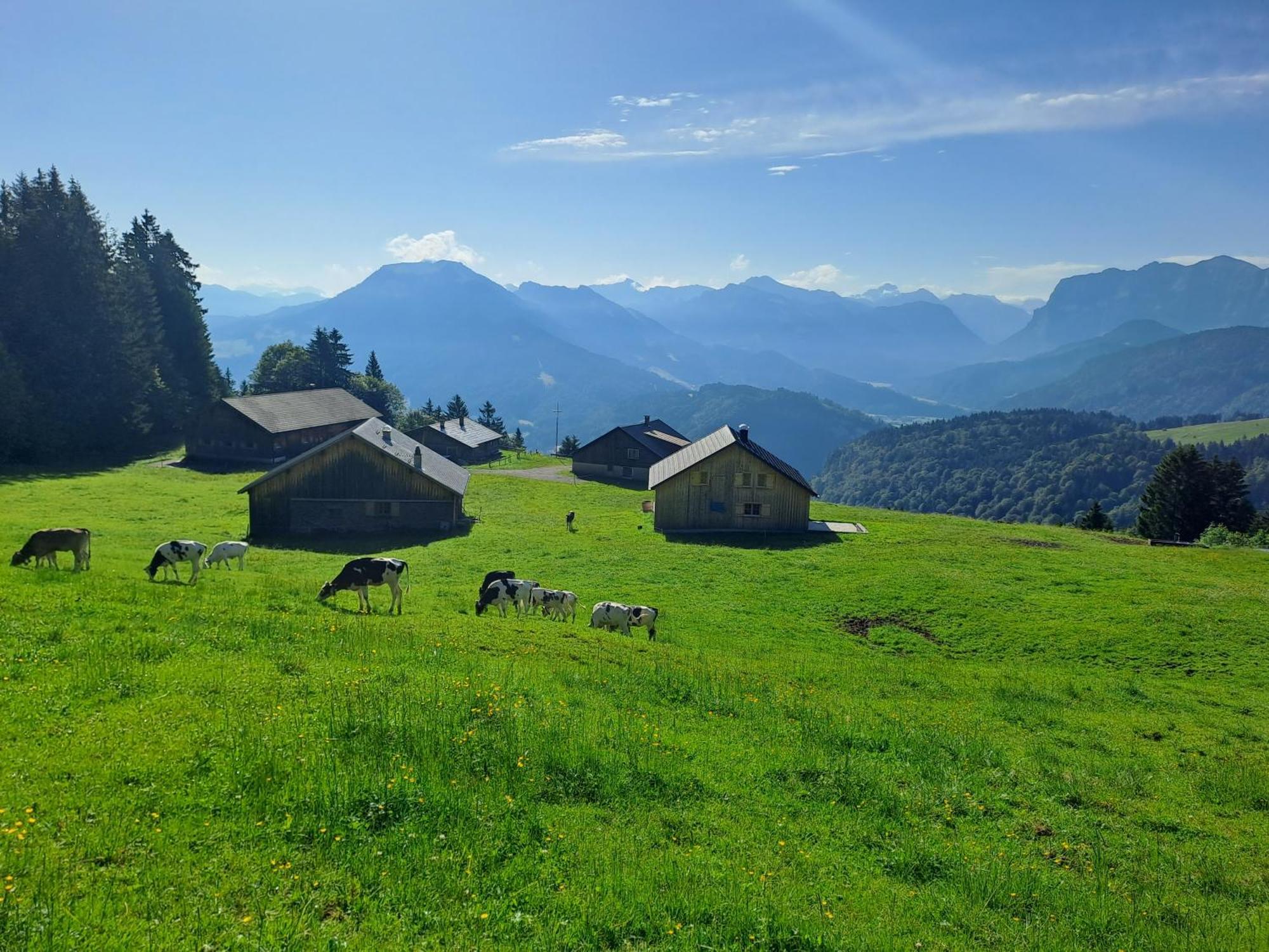 Neu Auszeit985 - Auszeit Mit Ausblick Lejlighed Schwarzenberg im Bregenzerwald Eksteriør billede