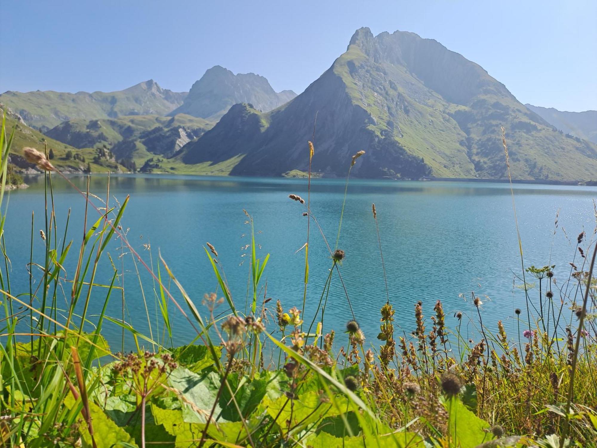 Neu Auszeit985 - Auszeit Mit Ausblick Lejlighed Schwarzenberg im Bregenzerwald Eksteriør billede